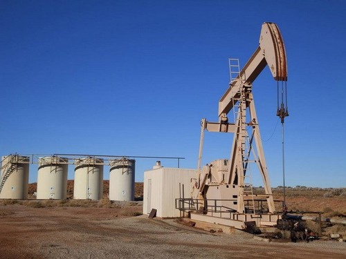 Oil prices slump on US oil report - ảnh 1